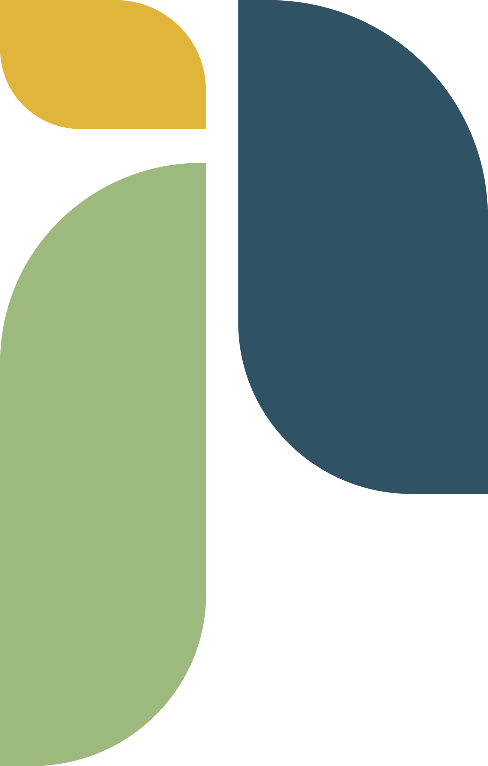 Icon - WRHN Foundation flair