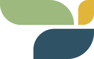 Icon - WRHN Foundation flair
