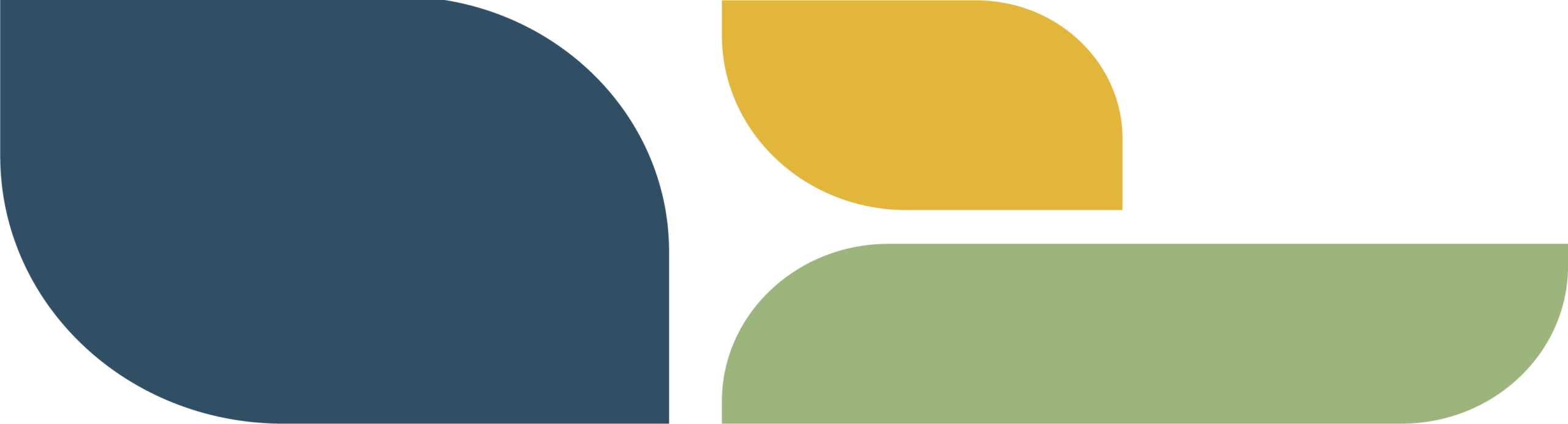 Icon - WRHN Foundation flair