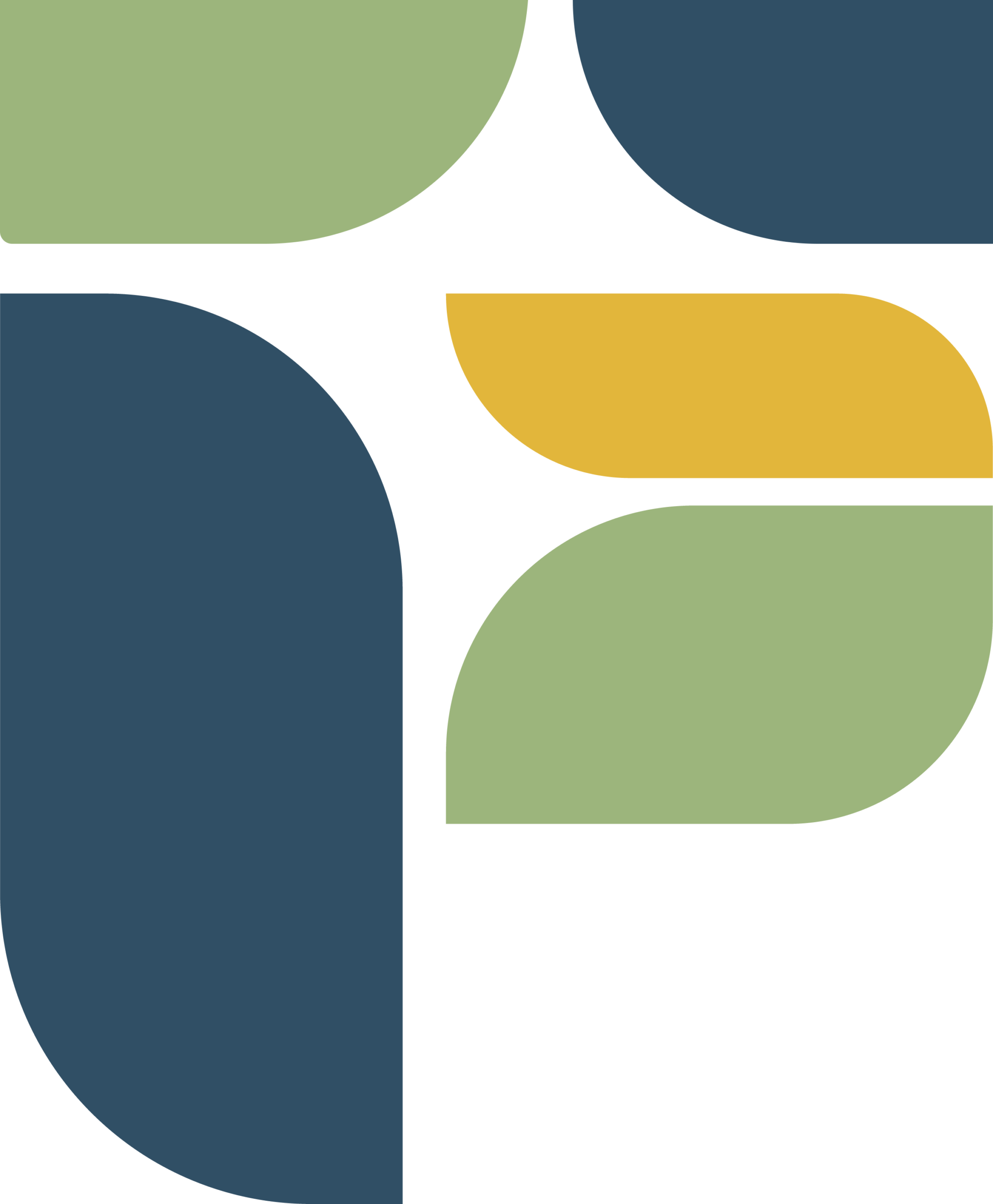 Icon - WRHN Foundation flair