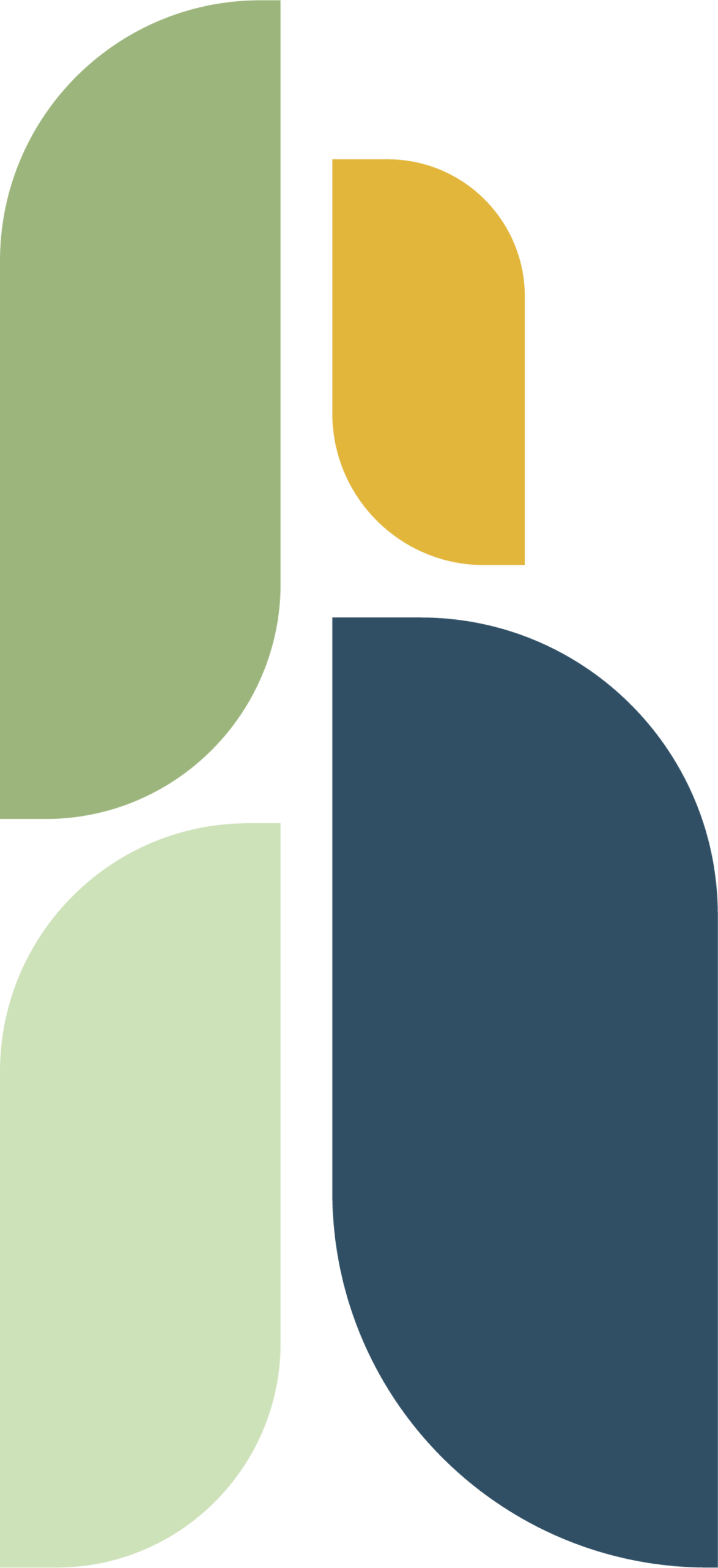 Icon - WRHN Foundation flair