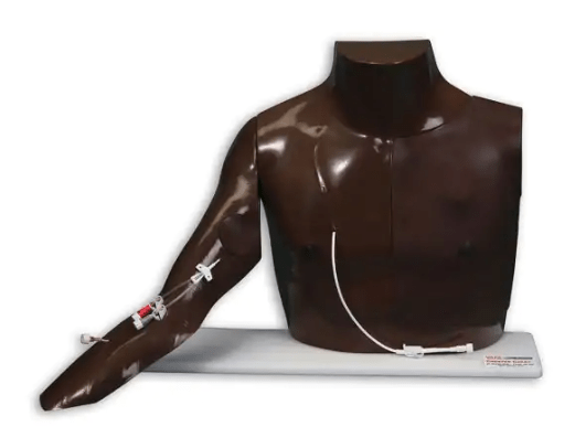 St Marks | Chester Chest training models with Peripheral Port Access Arms (2)