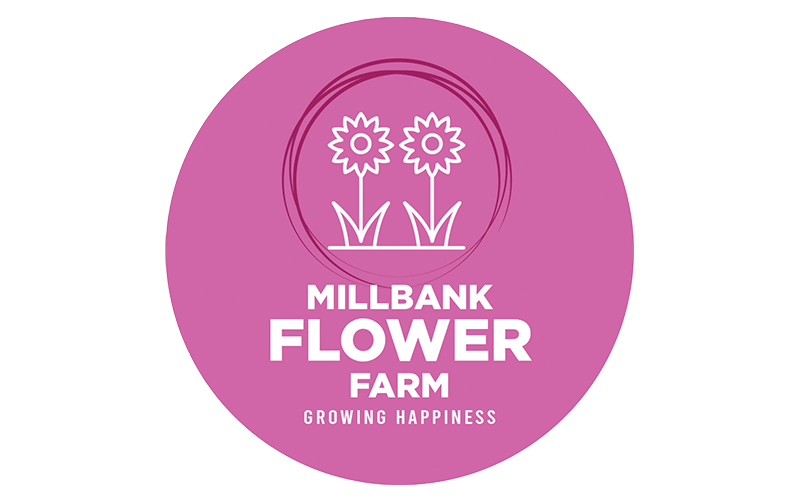 Millbank Flower Farm