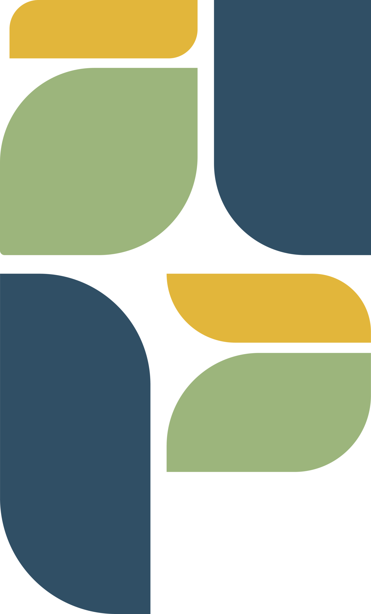 Icon - WRHN Foundation flair