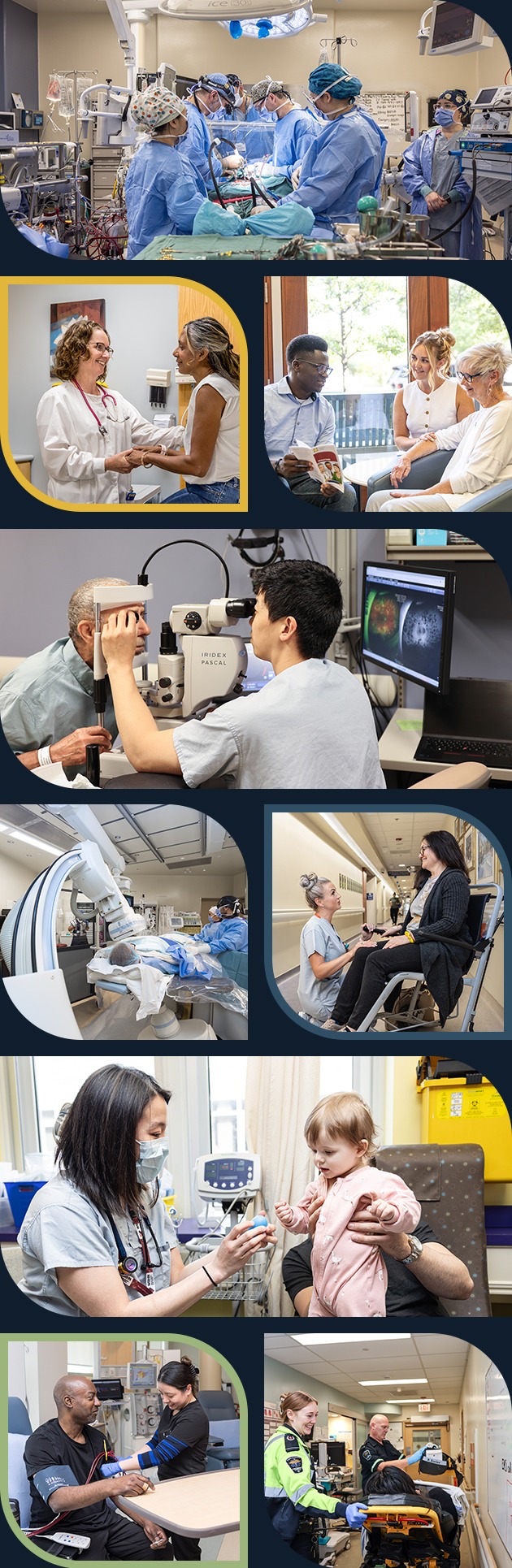 Photo collage of WRHN team members and patients, representing the various care areas at WRHN.