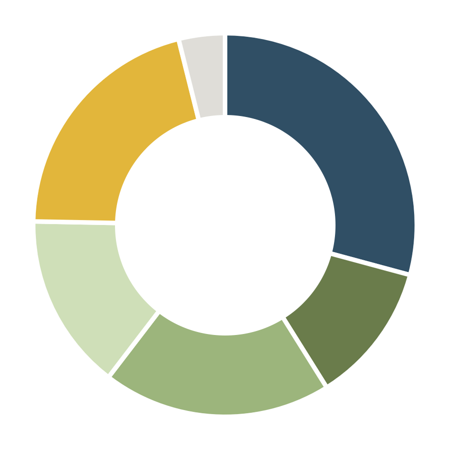 Pie Chart - Revenue 2024/25