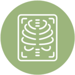 X-Ray Icon